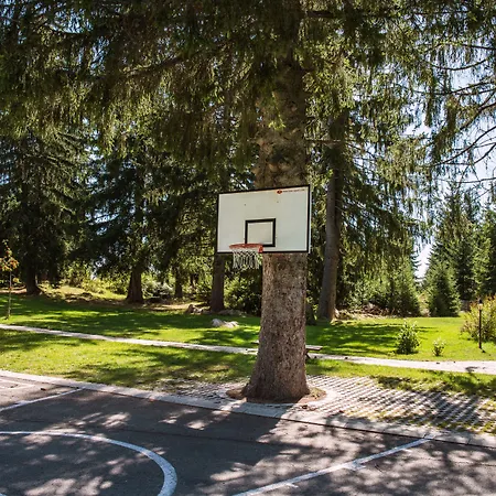 Ξενοδοχείο Mountain 3*